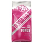 Bavaro Force