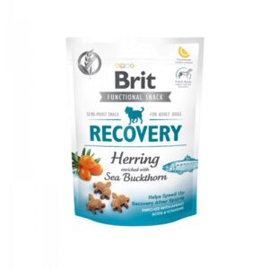 Brit Functional Snack Recovery