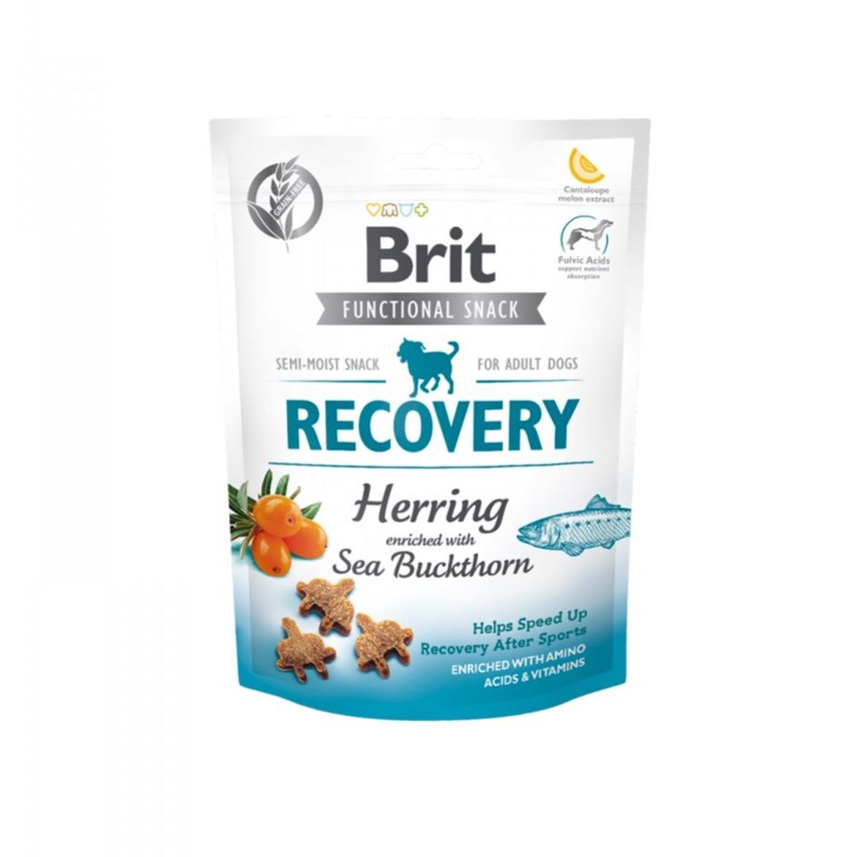 Brit Functional Snack Recovery