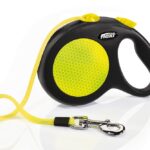 Flexi neon