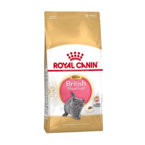 Royal Canin Kitten British Shorthair